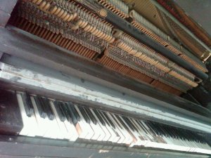 253402_2125652667909_6778880_n